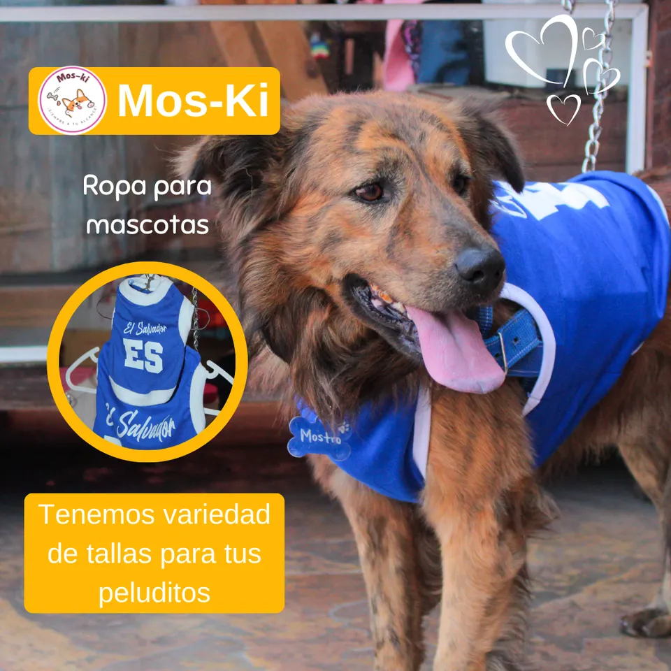 MosKi — Moskiropa (2)