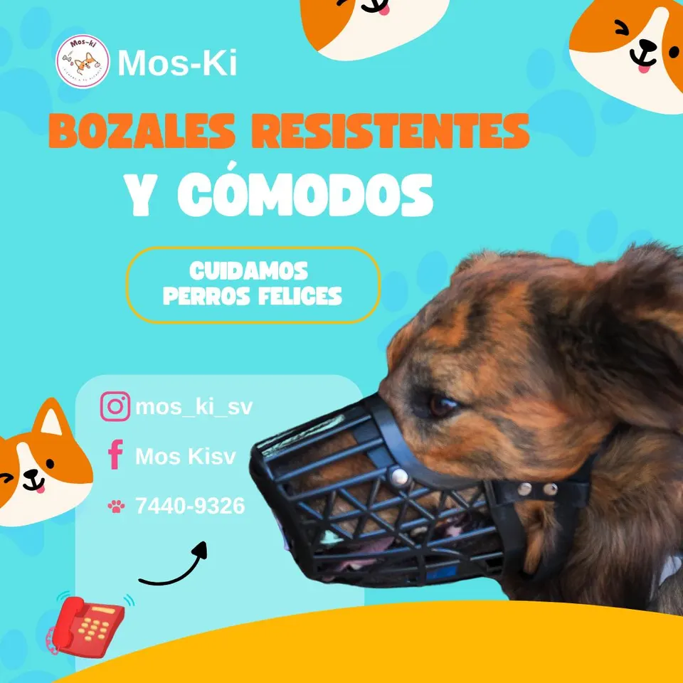 MosKi — moskibozal