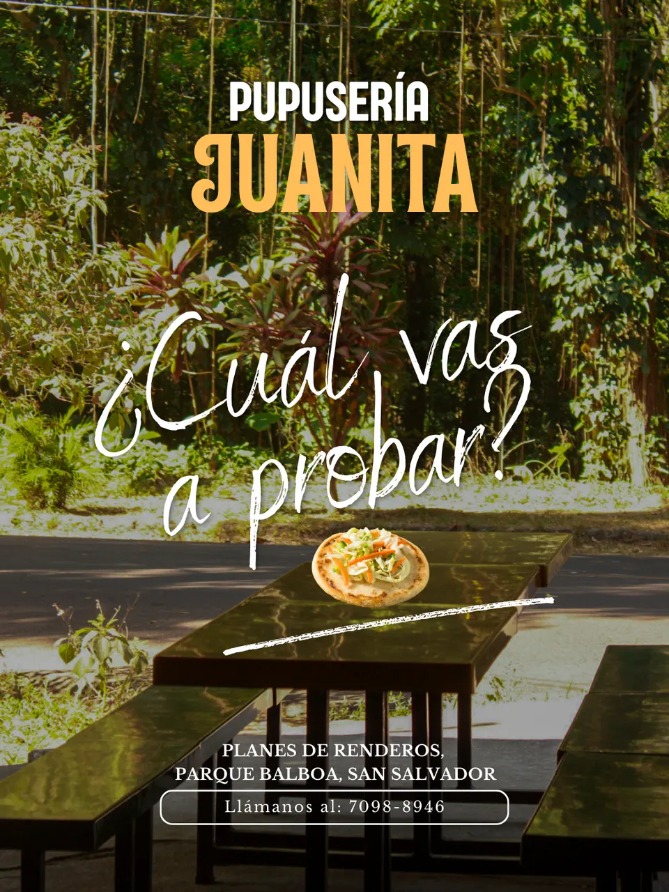 Pupuseria-Juanita — Pupuseriajuanita6